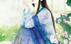 不用播放器的h网